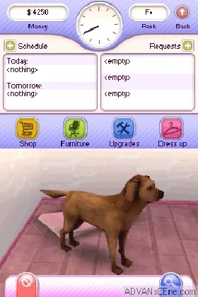 Let's Play Pet Hospitals (Europe) (En,Fr,De,Es,It) screen shot game playing